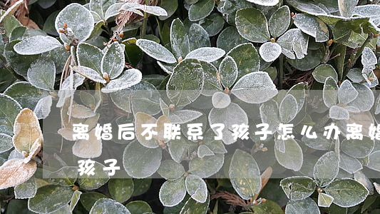 离婚后不联系了孩子怎么办(离婚后不让联系孩子)