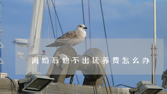 离婚后他不出抚养费怎么办