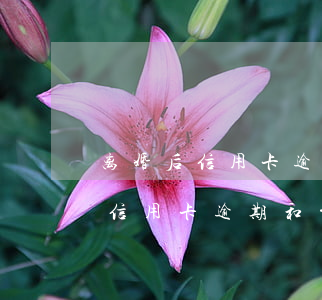 离婚后信用卡逾期和前妻有关系吗-离婚后信用卡逾期和前妻有关系吗知乎