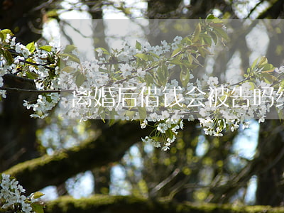 离婚后借钱会被告吗(结婚后借的钱离婚谁还)