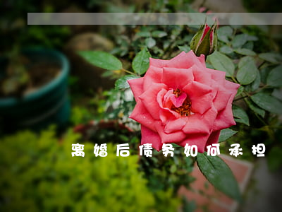 离婚后债务如何承担