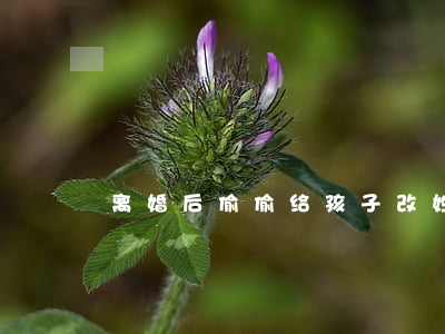 离婚后偷偷给孩子改姓
