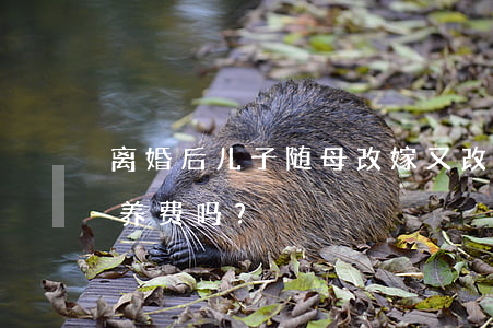 离婚后，儿子随母改嫁又改姓，父亲可以拒付抚养费吗？