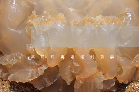 离婚后再婚遇到前妻