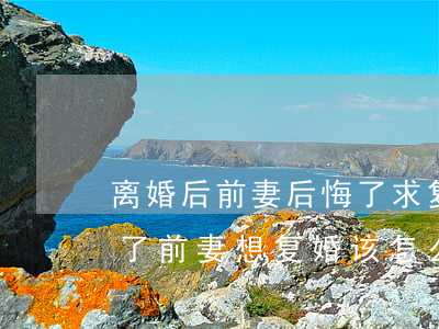 离婚后前妻后悔了求复婚怎么办(前夫又结婚了,前妻想复婚该怎么办)