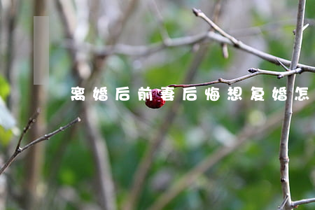 离婚后前妻后悔想复婚怎么办