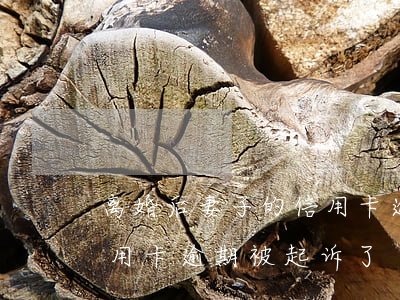 离婚后妻子的信用卡逾期(离婚一年后,前夫信用卡逾期被起诉了)