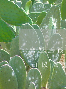 离婚后孩子一岁半还需要联系吗(小孩一岁半可以离婚吗)