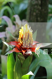 离婚后孩子很可怜