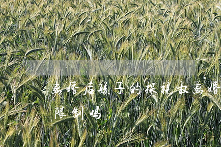 离婚后孩子的探视权(离婚后孩子的探视权受限制吗)