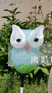 离婚后带儿子出国(离婚后带着女儿过)