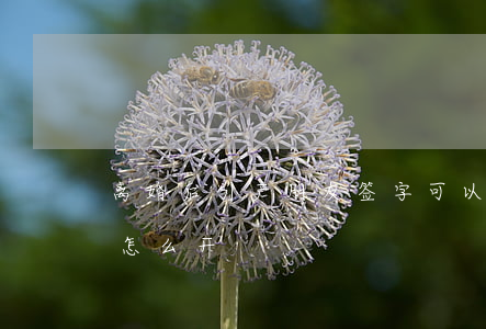 离婚后引产朋友签字可以吗(离婚后引产证明怎么开)