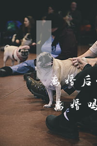 离婚后悔看不上老实的老公(老公没上进心该离婚吗)