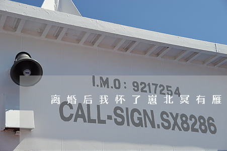 离婚后我怀了崽北冥有雁