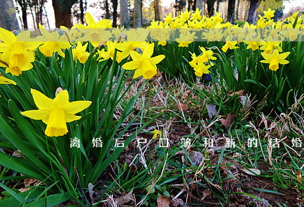 离婚后户口簿和新的结婚证怎么办