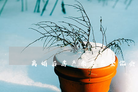 离婚后房产未变更登记会怎样