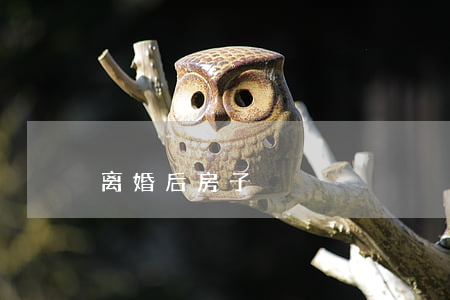 离婚后房子