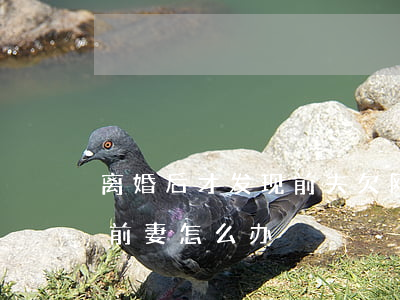 离婚后才发现前夫欠网贷(前夫欠下巨额网贷前妻怎么办)