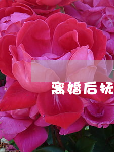 离婚后抚养权另一方不给怎么办