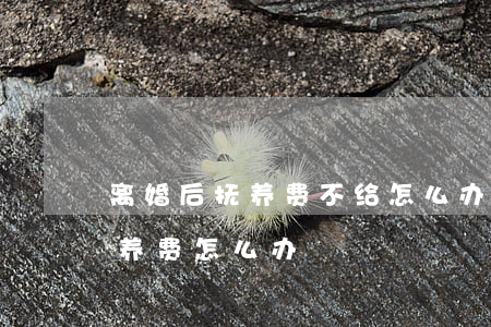 离婚后抚养费不给怎么办(离婚后对方不给抚养费怎么办?)