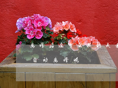 离婚后没有互撕的夫妻(夫妻分开两年是不是自动离婚呢)