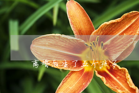离婚后生了五个孩子