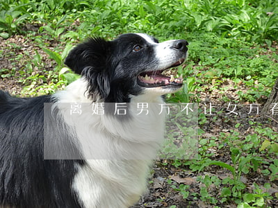 离婚后男方不让女方看小孩怎么办