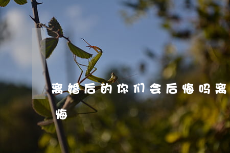 离婚后的你们会后悔吗(离婚后哪方更容易后悔)