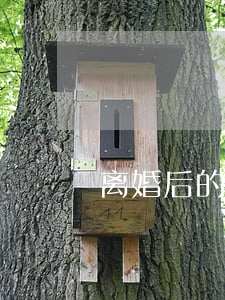 离婚后的爱变成恨(离婚后的爱变成恨)