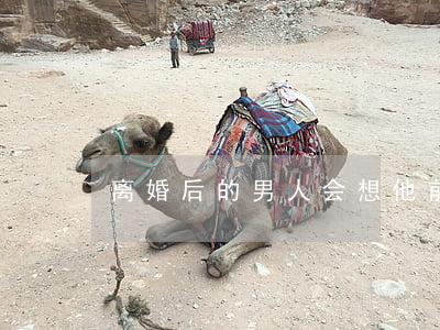 离婚后的男人会想他前妻