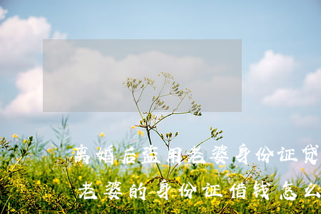 离婚后盗用老婆身份证贷款犯法吗(老公盗用老婆的身份证借钱怎么办)