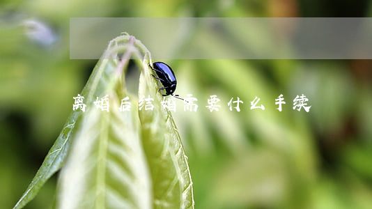 离婚后结婚需要什么手续