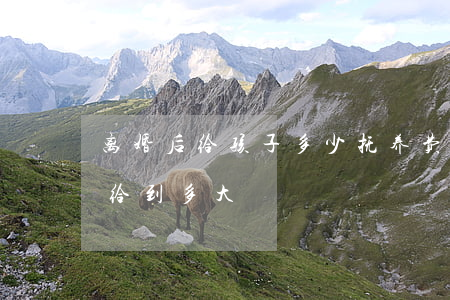 离婚后给孩子多少抚养费(离婚给孩子抚养费给到多大)
