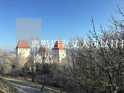 离婚后老丈人可以打我吗(丈夫打了我该不该离婚)