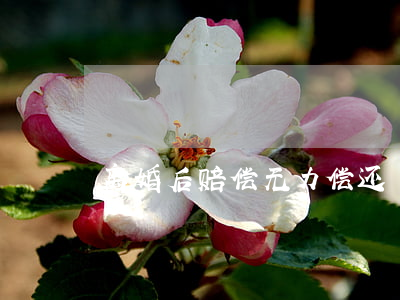 离婚后赔偿无力偿还