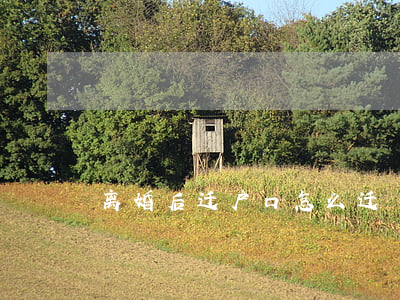 离婚后迁户口怎么迁