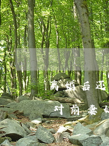 离婚后还要照顾前妻吗(离婚了为什么前夫还对前妻好)