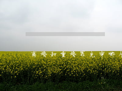离婚和重婚罪先审哪个(怎么判定是重婚罪)