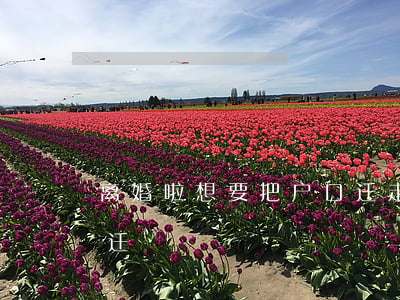 离婚啦想要把户口迁走该怎么办(离婚了户口迁)