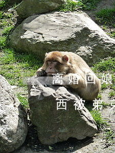 离婚回娘家东西被弟弟扔出来(离婚回娘家东西被弟弟扔出来)