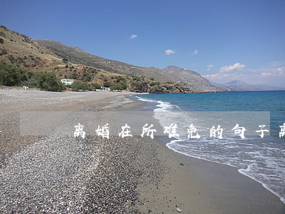 离婚在所难免的句子(离婚后的句子)