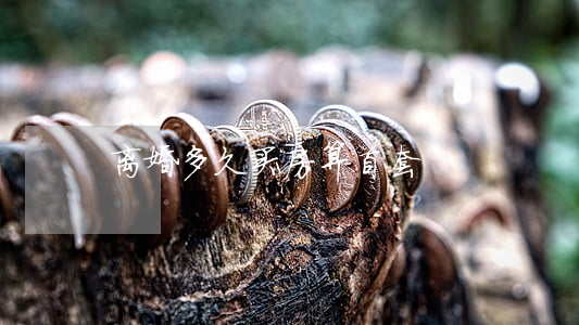 离婚多久买房算首套