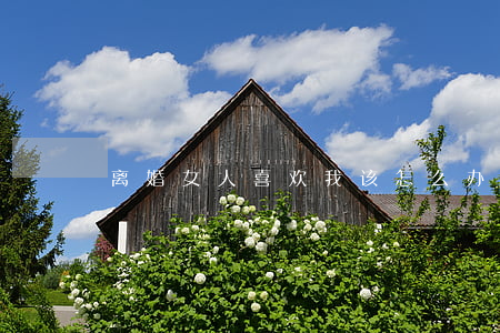 离婚女人喜欢我该怎么办