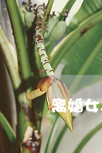 离婚女人想生宝宝(生了宝宝想离婚怎么办)