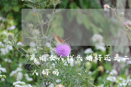 离婚女人找头婚好还是二婚好(二婚找头婚男人好吗)