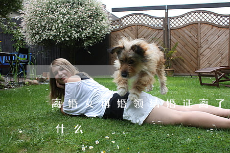 离婚女再婚领结婚证(离了婚再婚的领证需要什么)