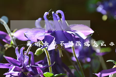 离婚女方不想改嫁怎么办