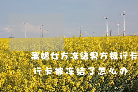 离婚女方冻结男方银行卡怎么解冻(离婚了银行卡被冻结了怎么办)