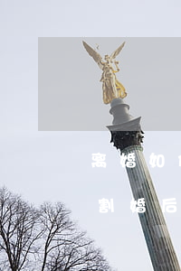 离婚如何避免分割婚后车子(离婚如何避免分割婚后车子)