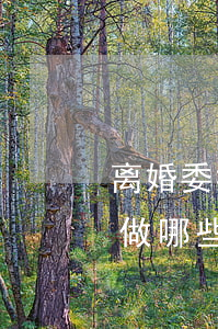 离婚委托律师 律师会做些什么(离婚律师一般做哪些事)